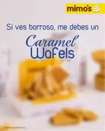 Catálogo Helados Mimo's Página 1