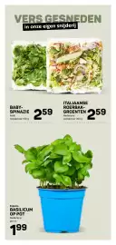 Ekoplaza folder week 9 Pagina 10