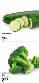 Ekoplaza folder week 9 Pagina 11