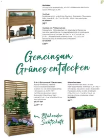 Tchibo Prospekt Seite 155