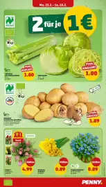 PENNY Prospekt woche 9 Seite 3