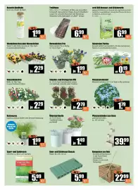 V Baumarkt Prospekt woche 9 Seite 2