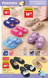 Biedronka gazetka Strona 17