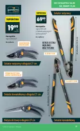 Biedronka gazetka Strona 37