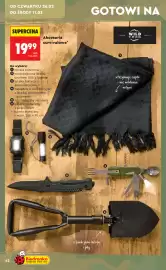 Biedronka gazetka Strona 42