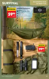 Biedronka gazetka Strona 43