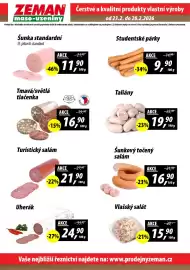 ZEMAN leták týden 9 Strana 2