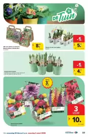 Carrefour folder Pagina 33