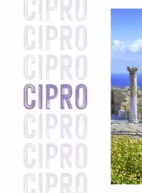 Volantino Alpitour Pagina 238