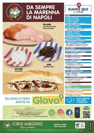 Volantino Ciro Amodio Pagina 12