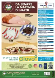 Volantino Ciro Amodio Pagina 12