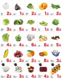 Day To Day catalogue Page 3