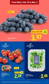 Lidl weekly ad week 9 Page 3