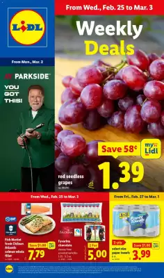 Lidl weekly ad