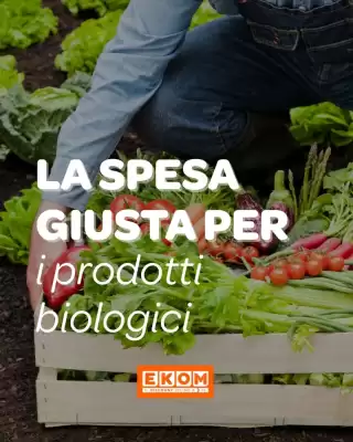 Volantino Ekom (valido fino al 5-03)