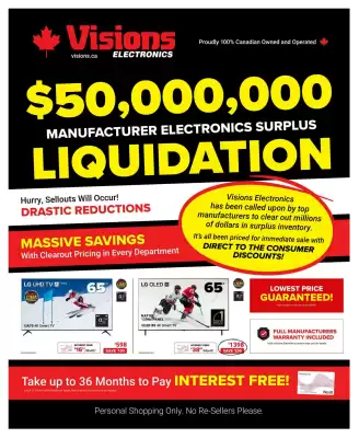 Visions Electronics flyer