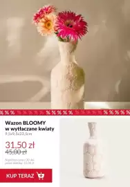 Homla gazetka Strona 13