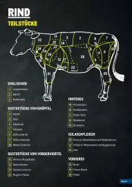 Metro Flugblatt Seite 5