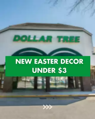 Dollar Tree weekly ad (valid until 28-02)