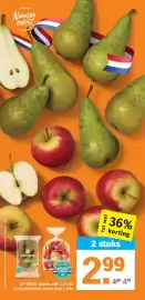 AH XL folder week 9 Pagina 16