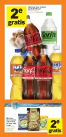 AH XL folder week 9 Pagina 7