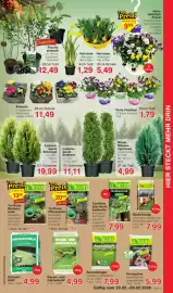 Jawoll Prospekt woche 9 Seite 5