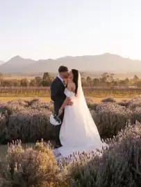 Catálogo Pronovias Página 1