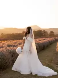 Catálogo Pronovias Página 2