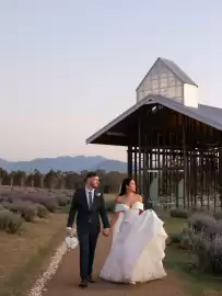 Catálogo Pronovias Página 3