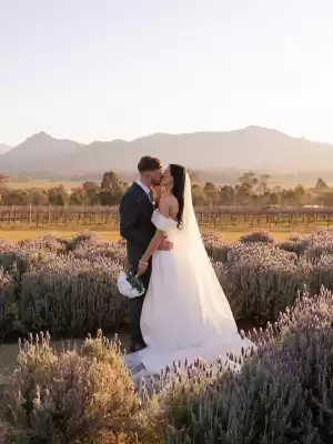 Catálogo Pronovias (válido hasta 31-03)