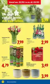 Lidl folder week 9 Pagina 20