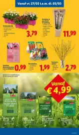Lidl folder week 9 Pagina 21