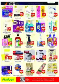 Amber catalogue Page 6