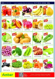 Amber catalogue Page 8