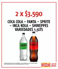 Catálogo OXXO Página 14