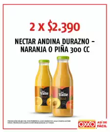 Catálogo OXXO Página 15