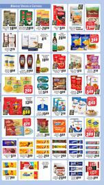 Folheto Panelão Página 2