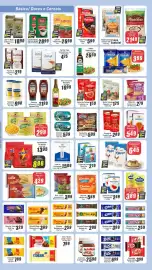 Folheto Panelão Página 2