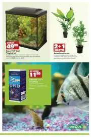 Discus folder Pagina 11