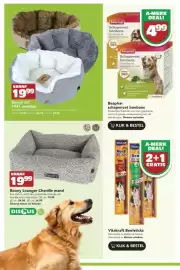 Discus folder Pagina 4