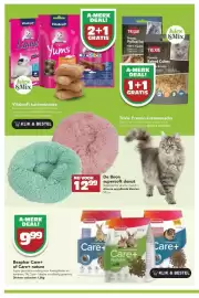 Discus folder Pagina 8