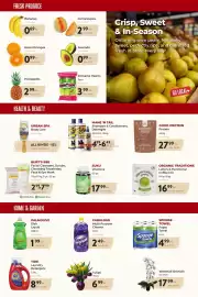 Marche Leo's flyer Page 4