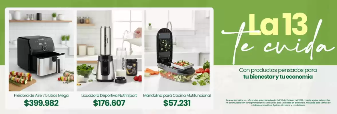 Catálogo Almacenes La 13 (válido hasta 28-02)