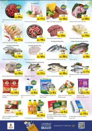 Nesto catalogue Page 3