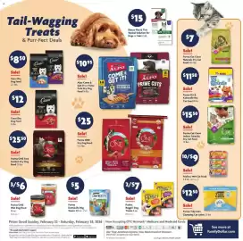Family Dollar weekly ad week 9 Page 13
