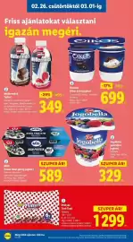 Lidl akciós újság hét 9 Oldal 10