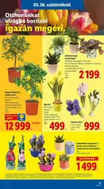 Lidl akciós újság hét 9 Oldal 17