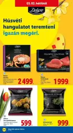 Lidl akciós újság hét 9 Oldal 62