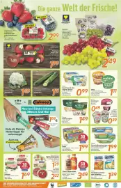 Inkoop Prospekt woche 9 Seite 2