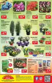 Zimmermann Prospekt woche 9 Seite 10